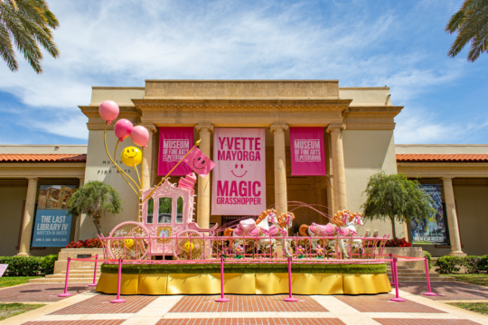 Yvette Mayorga: Magic Grasshopper at The Museum of Fine Arts in St. Petersburg, Florida