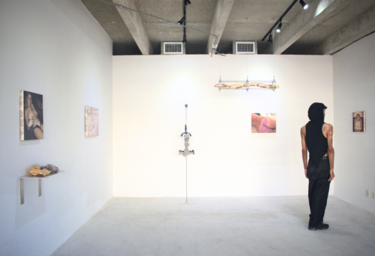 Evidence of Evolution at QUEUE Gallery, Miami