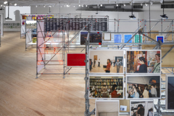 Mary Ellen Carroll: How To Talk Dirty and Influence People at Contemporary Arts Museum Houston, Houston