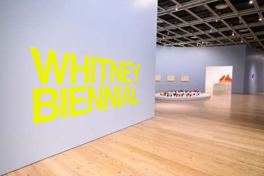 Carlos Nuñez and Maria Owen on the Whitney Biennial